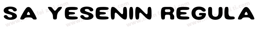 SA Yesenin Regular字体转换